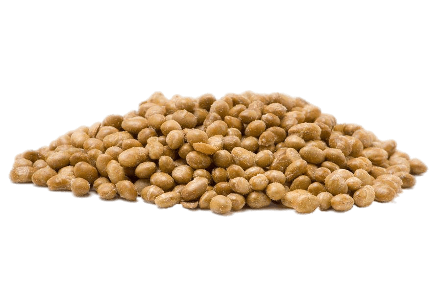 Roasted Salted Soybeans