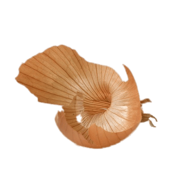 Onion Skin