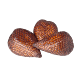 Small Snake Fruit