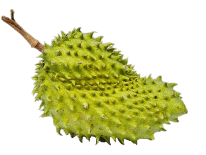 Whole Soursop