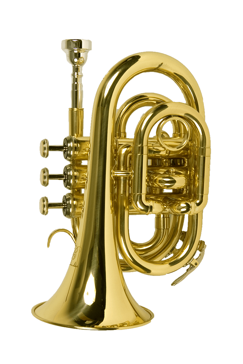 Trumpet Large