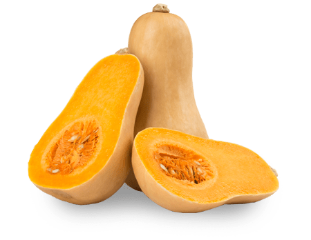 Butternut Squash
