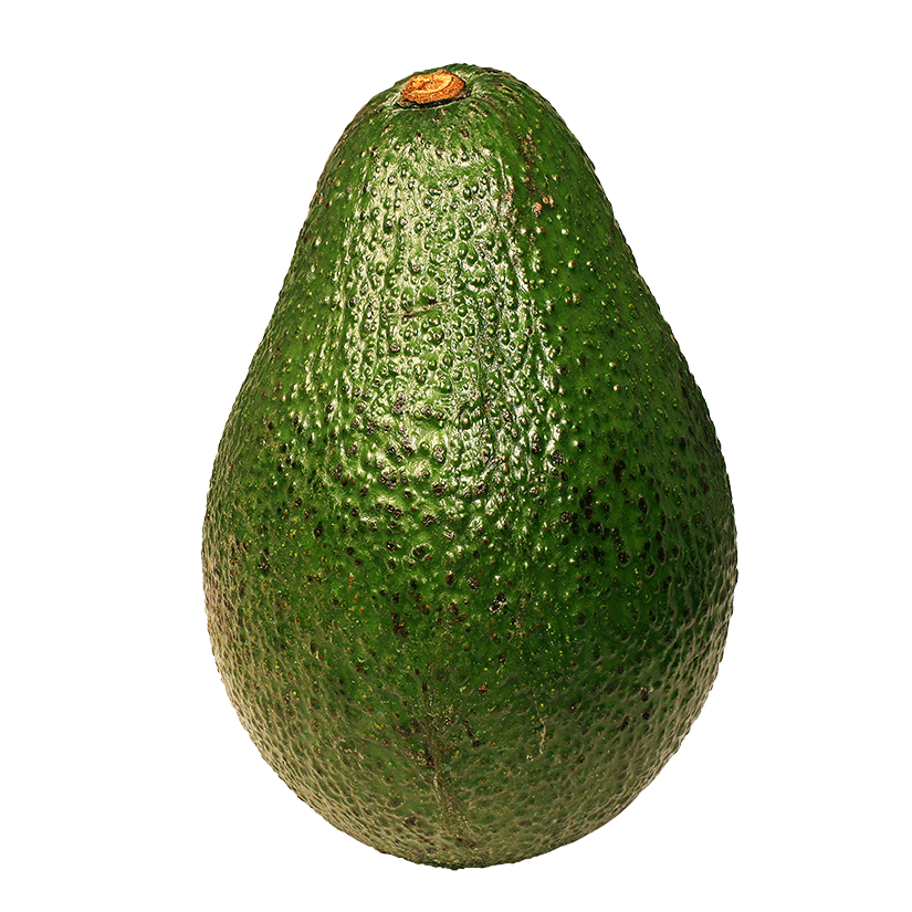 Avocado