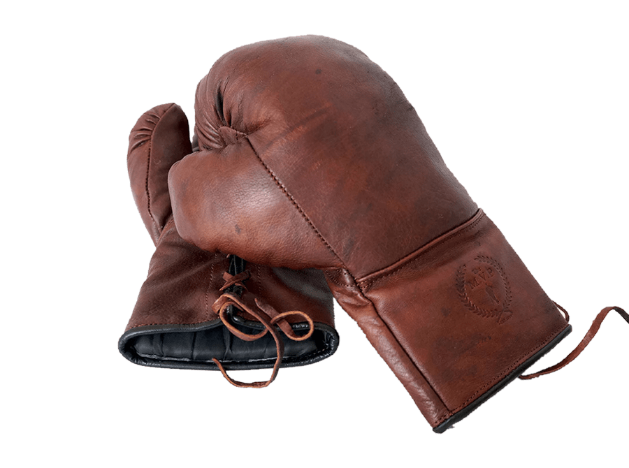Vintage Boxing Gloves