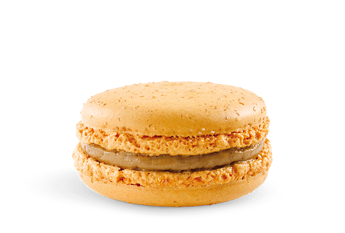 Salted Caramel Macaron