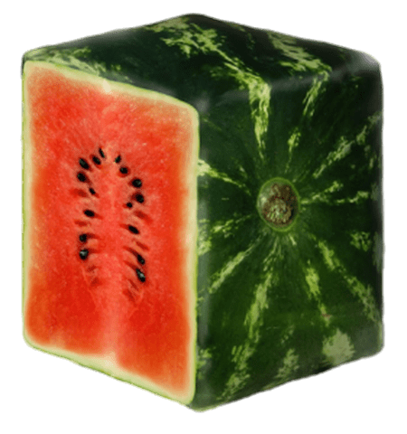 Sliced Square Watermelon