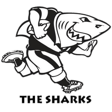 Sharks Rugby 