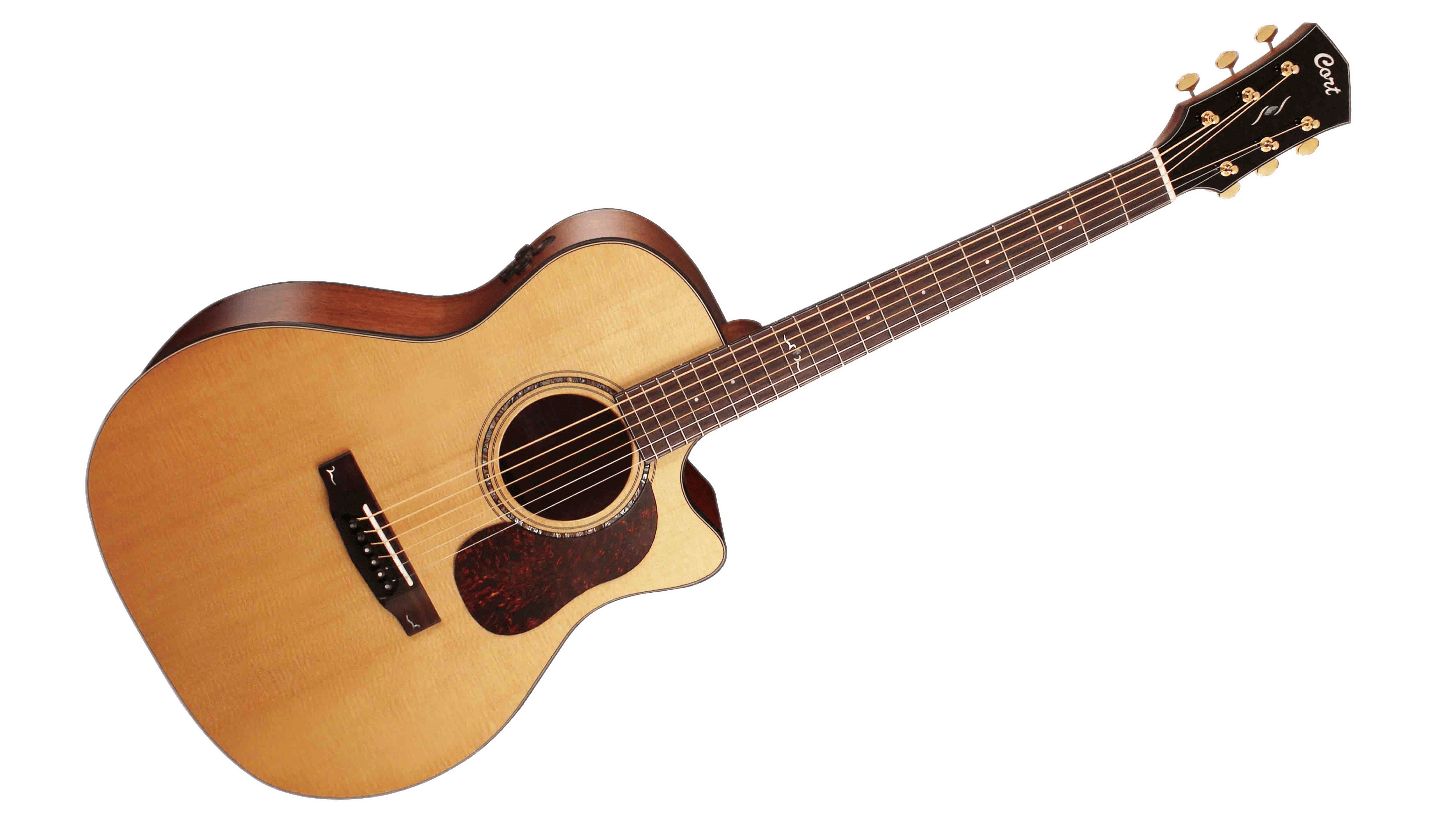Electric Acoustic Guitar