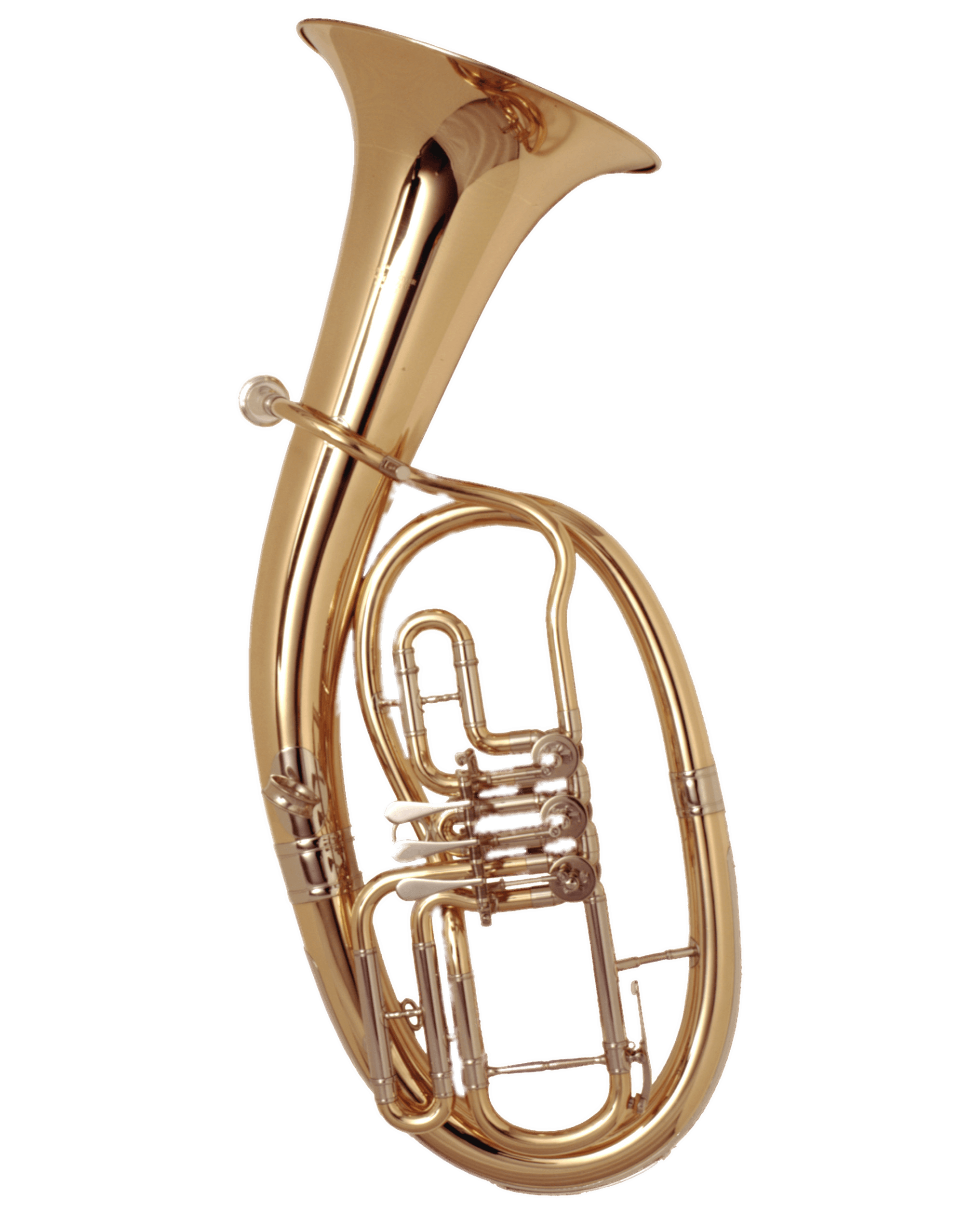 Tenorhorn
