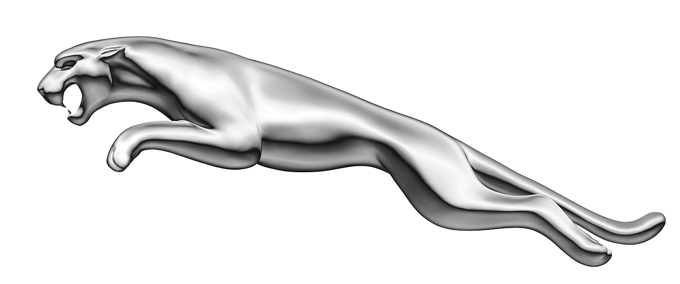 Jaguar Symbol 