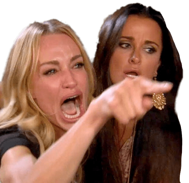 Woman Yelling At Cat Meme