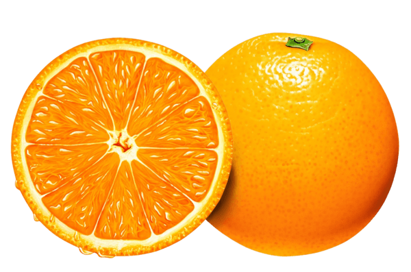 Orange Open Illustration