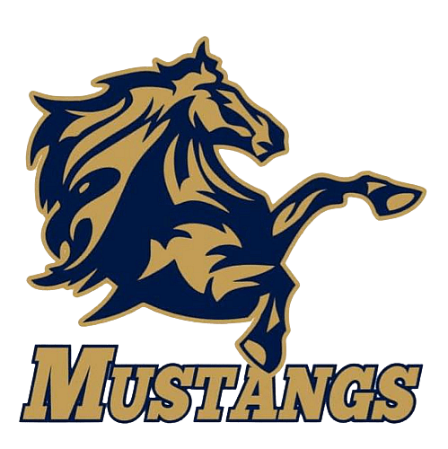 Dallas Mustangs Cricket Team 