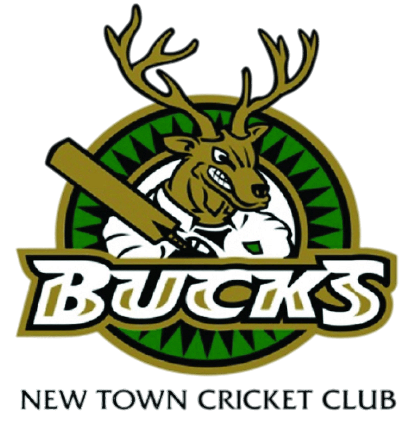 New Town Cricket Club 