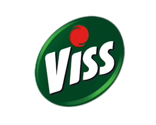 Viss 