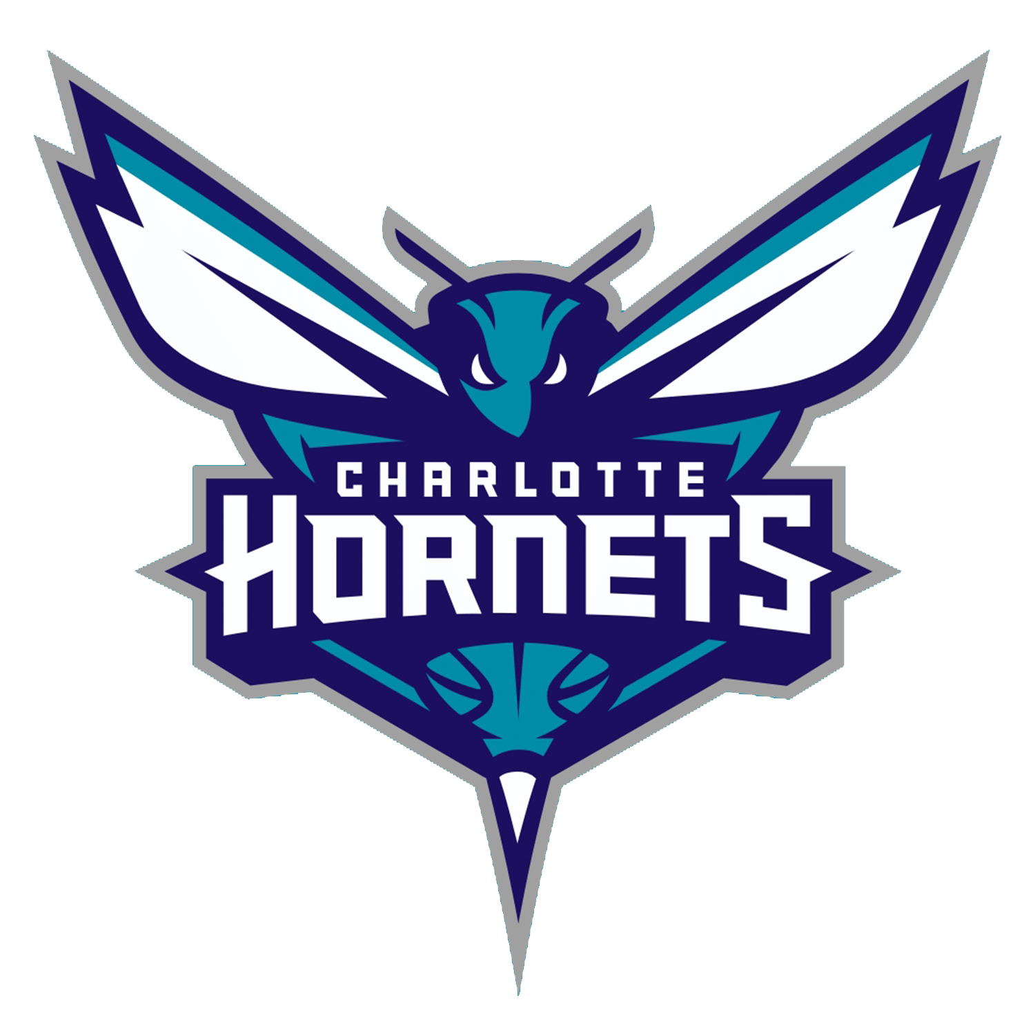Charlotte Hornets 