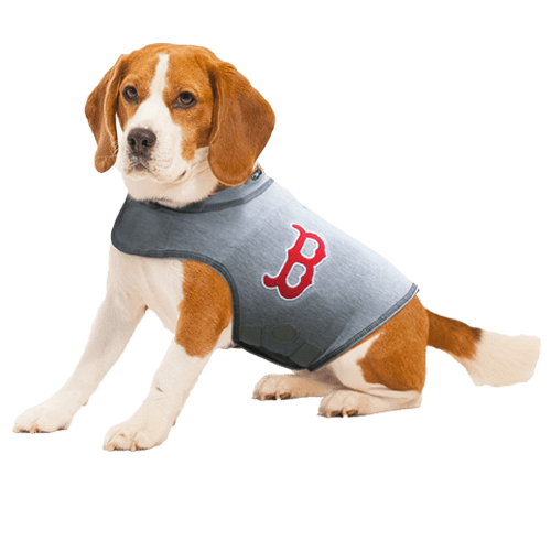 Boston Red Sox Dog Shirt