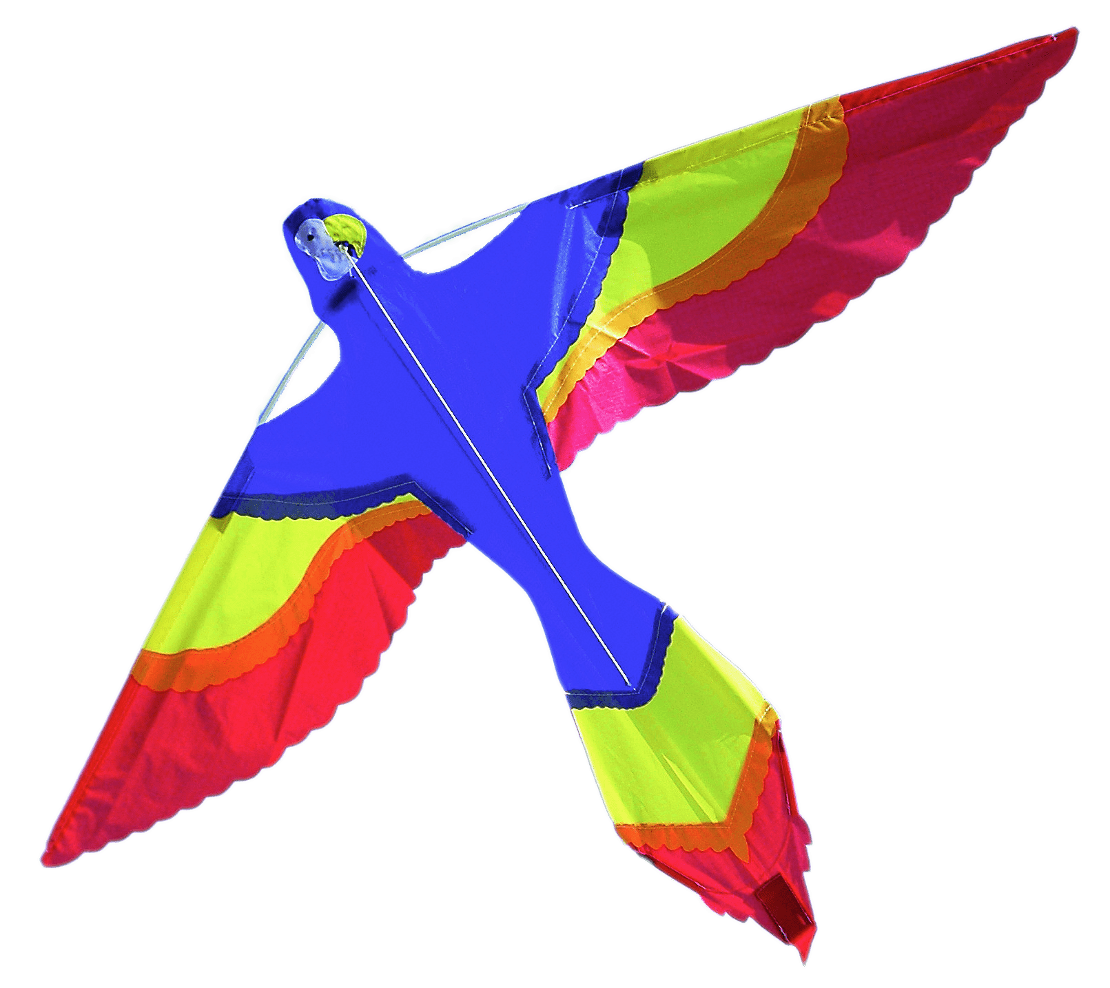 Parrot Kite