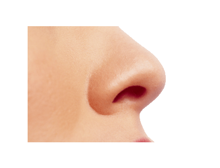 Small Female Nose