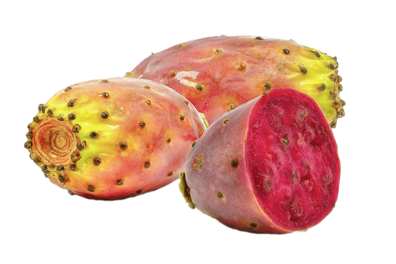 Prickly Pear Cactus Fruit