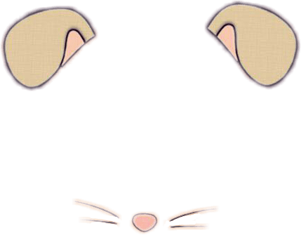 Snapchat Mouse Ears Filter