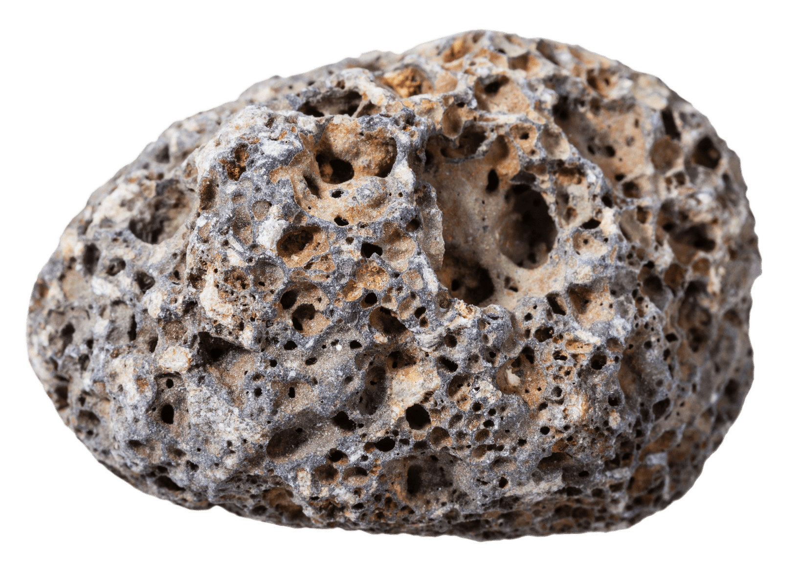 Pumice Stone