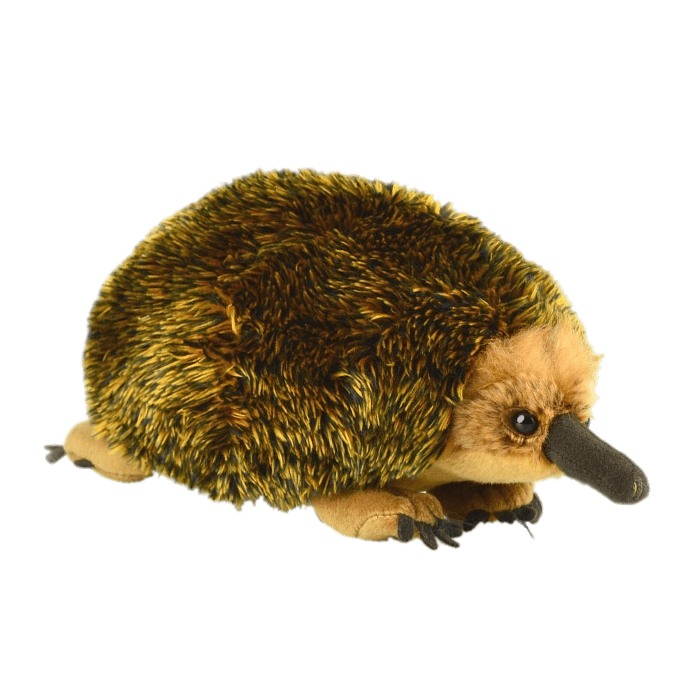 Echidna Plush Toy