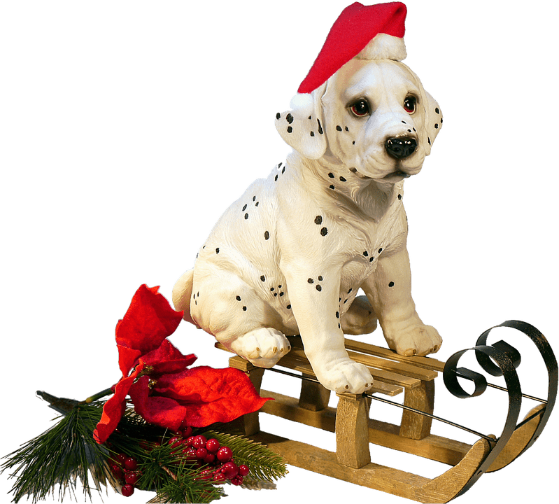 Christmas Dog on A Sledge