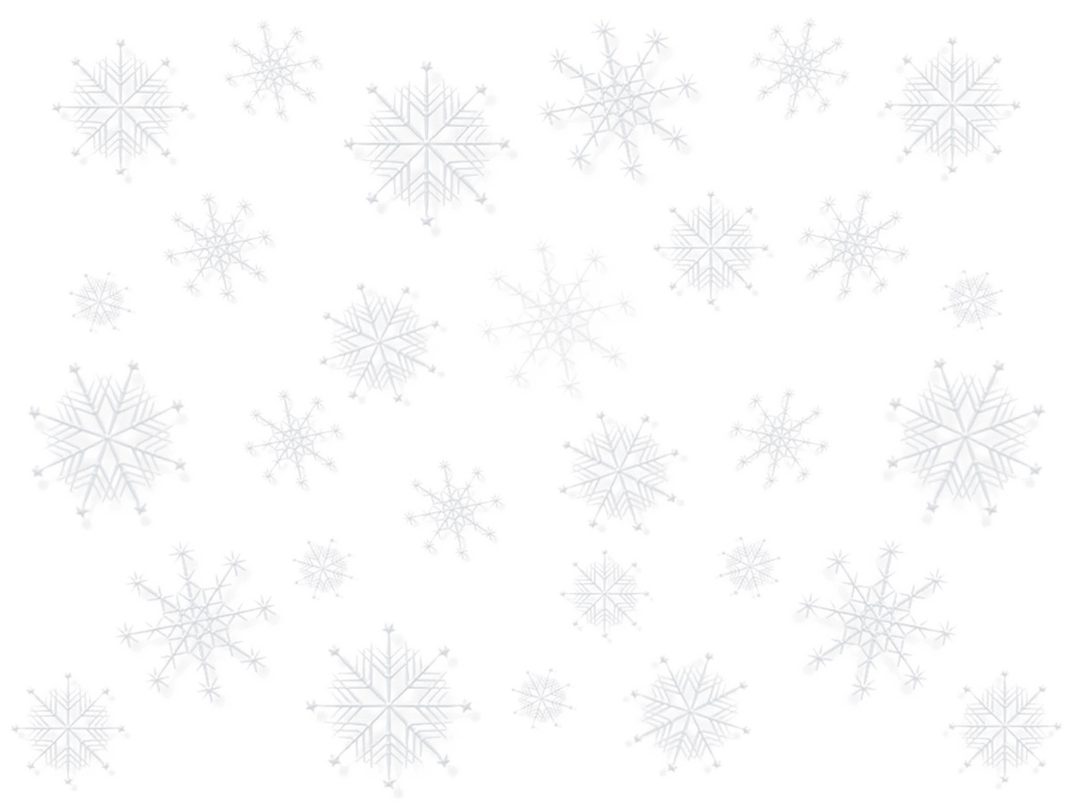 Snowflakes Overlay