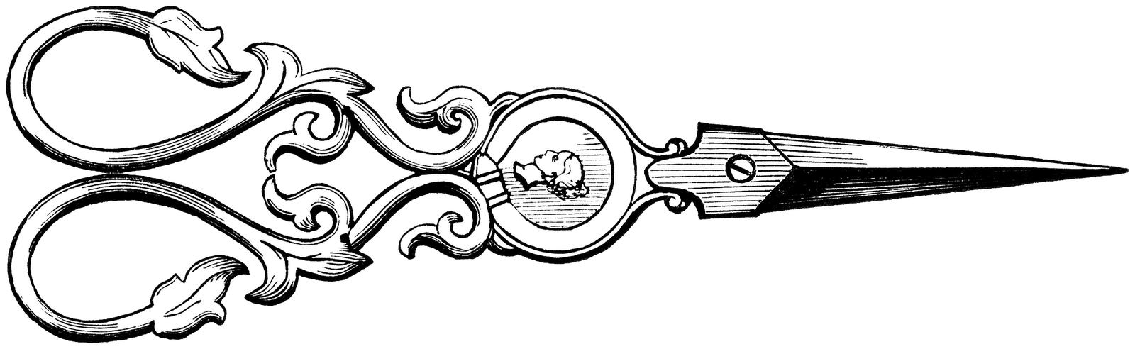 Vintage Scissors Drawing