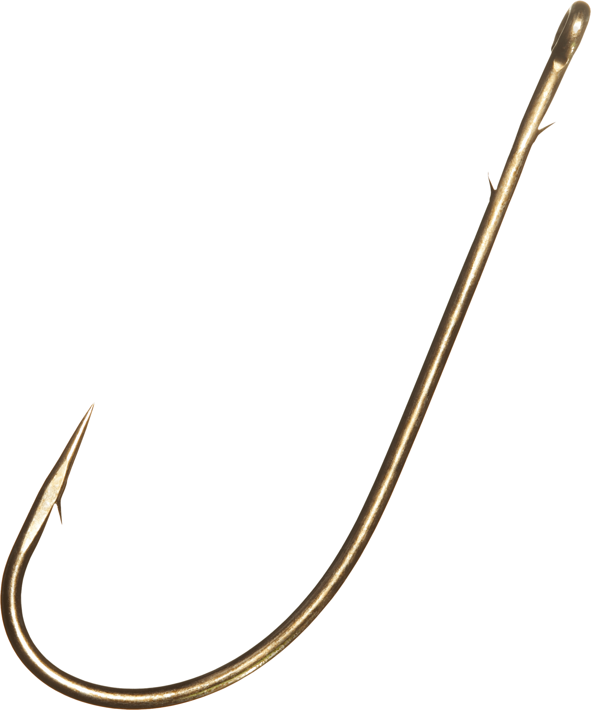 Large Fish Hook