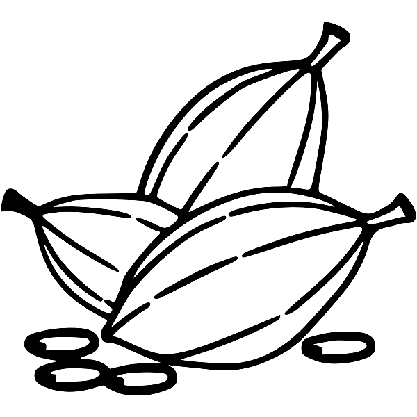 Cacao Beans Illustration