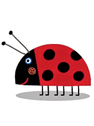 Ladybug