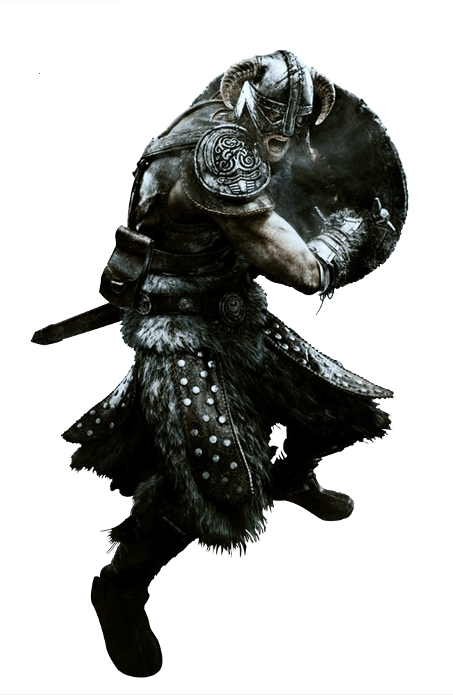 Elder Scrolls Skyrim Fighter