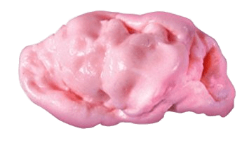 Chewed Used Chewing Gum