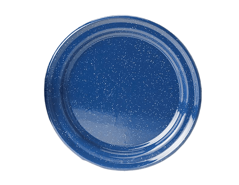 Blue Enamel Dish