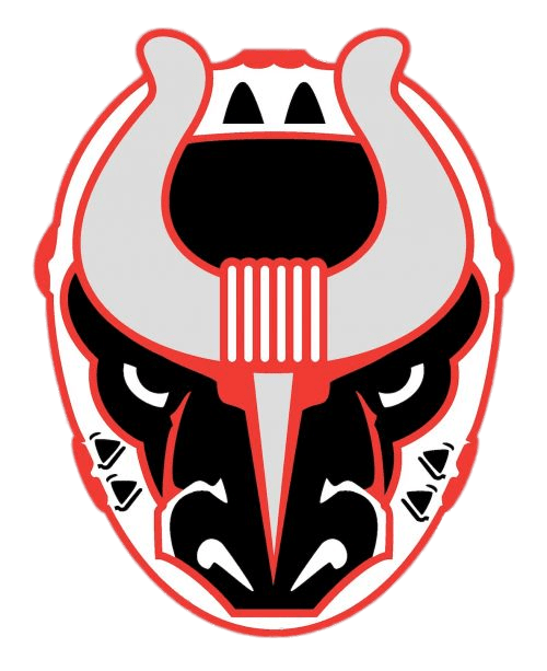 Birmingham Bulls 