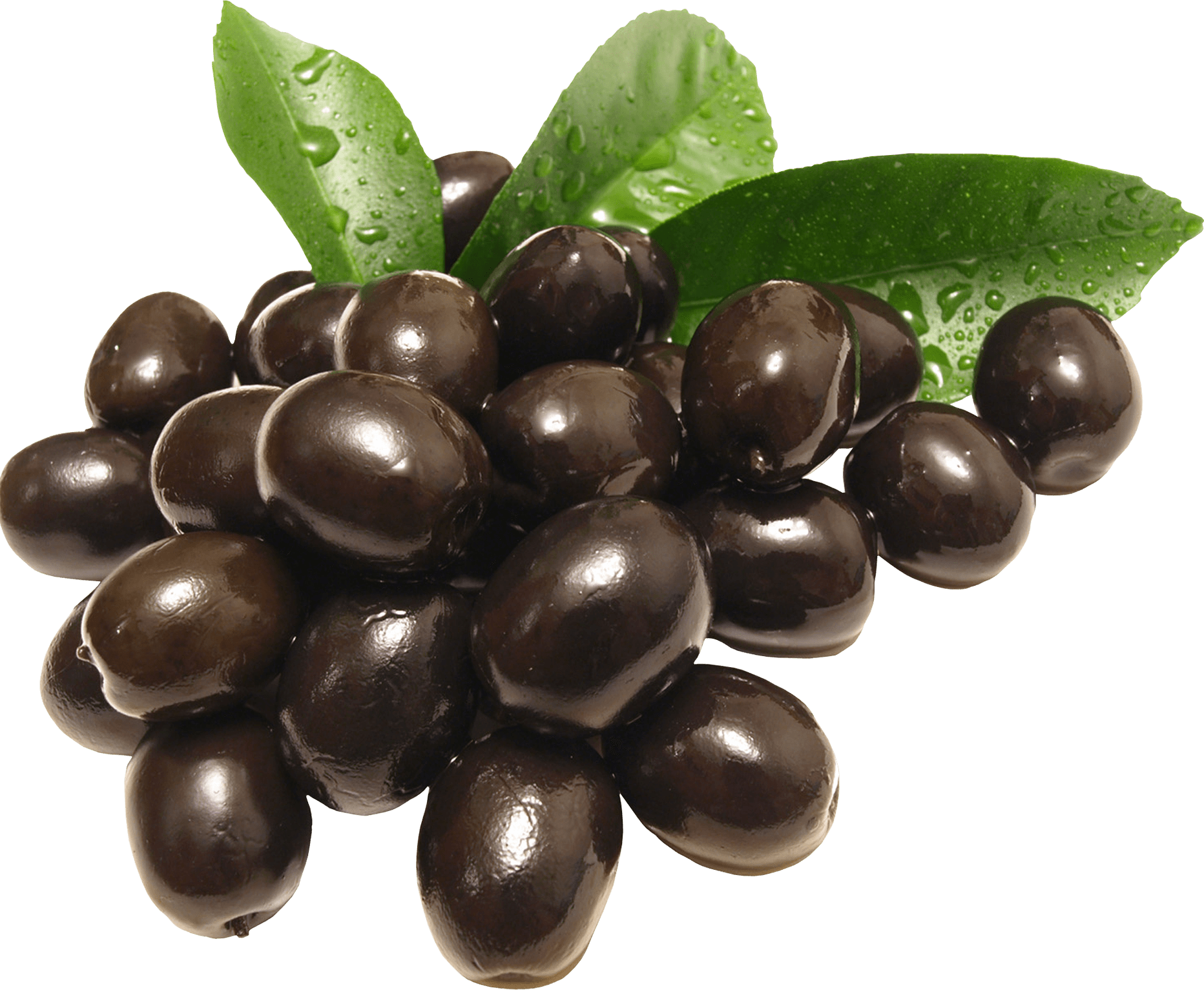 Black Olives Group