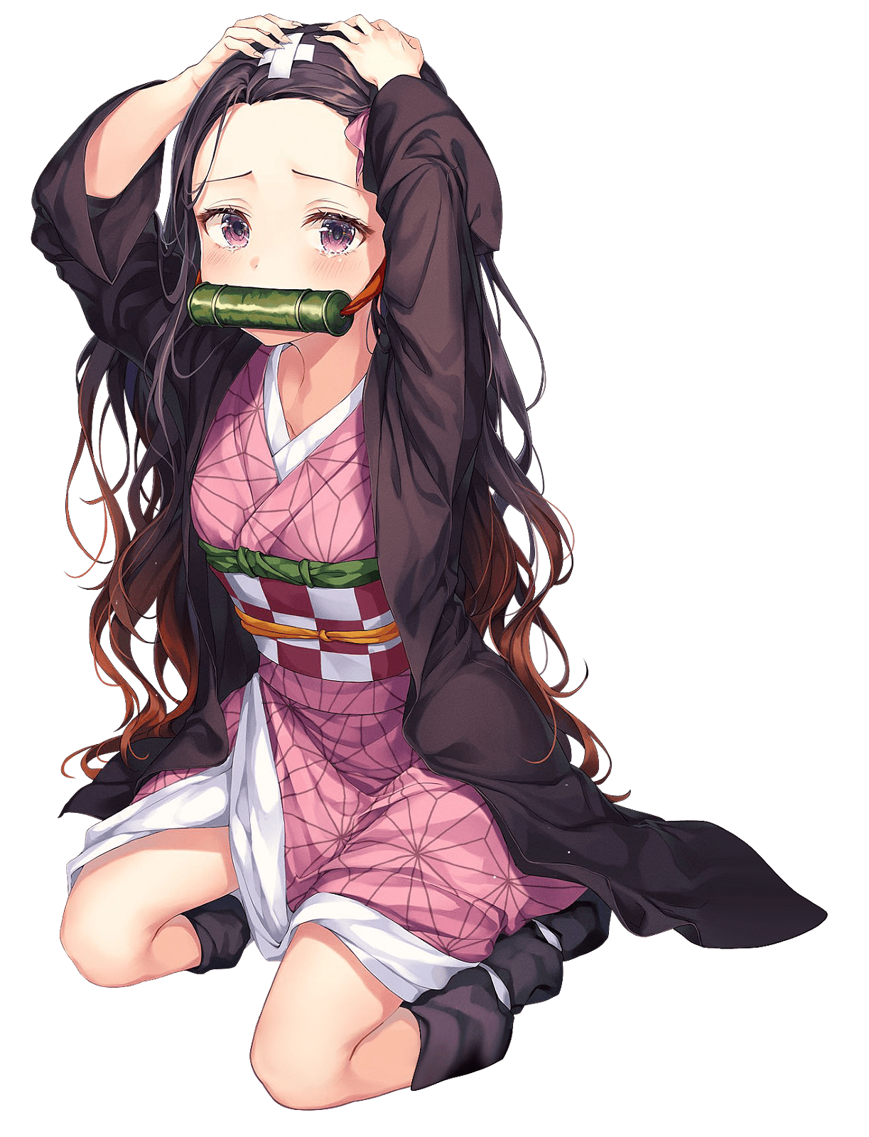 Kimetsu No Yaiba Nezuko Demon Slayer