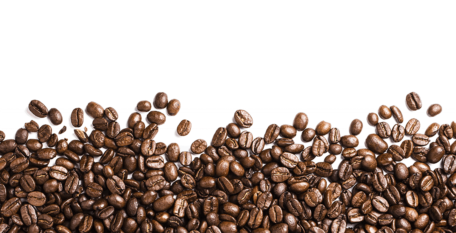 Coffee Beans Footer