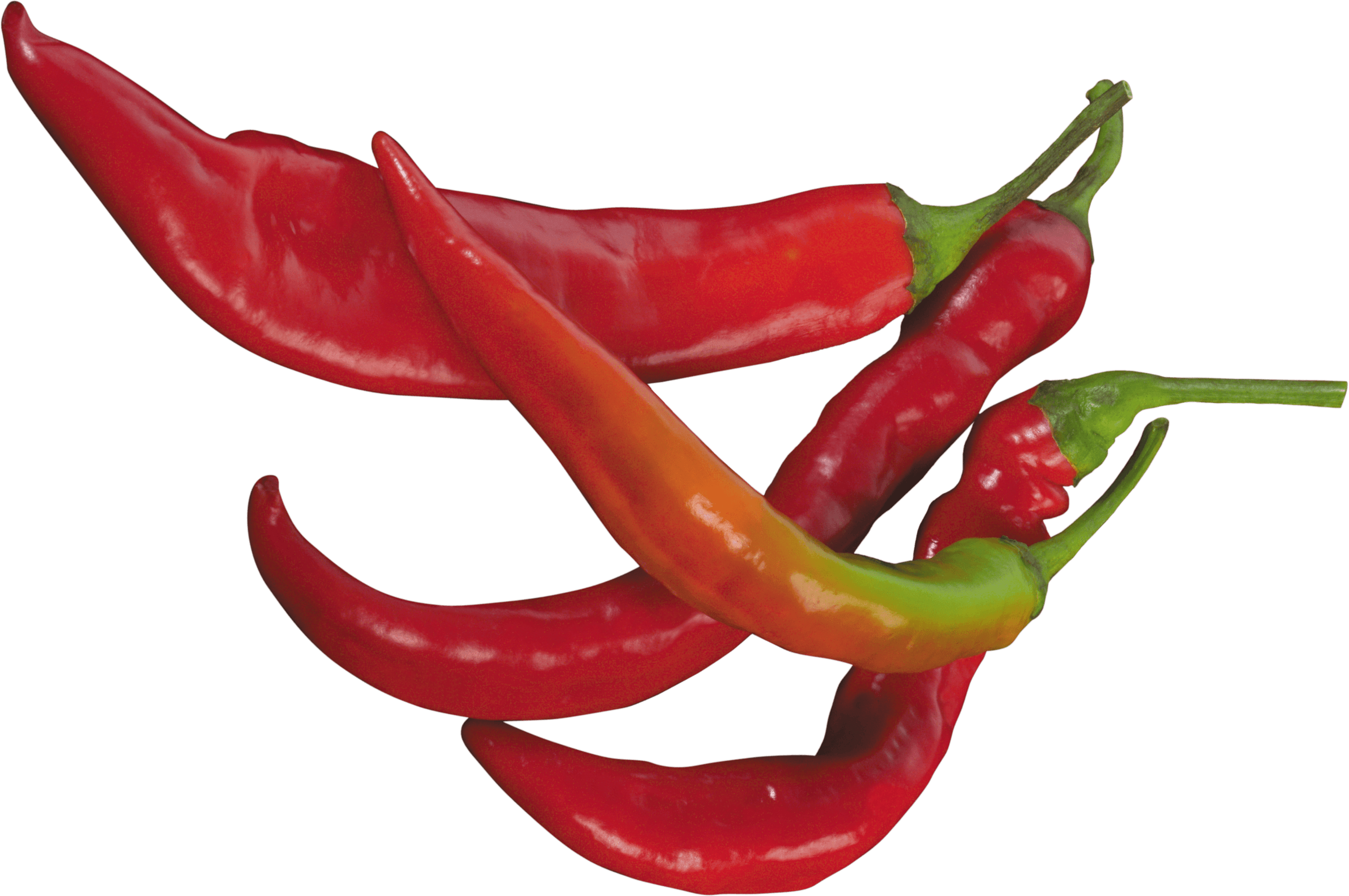 Red Chilli Pepper