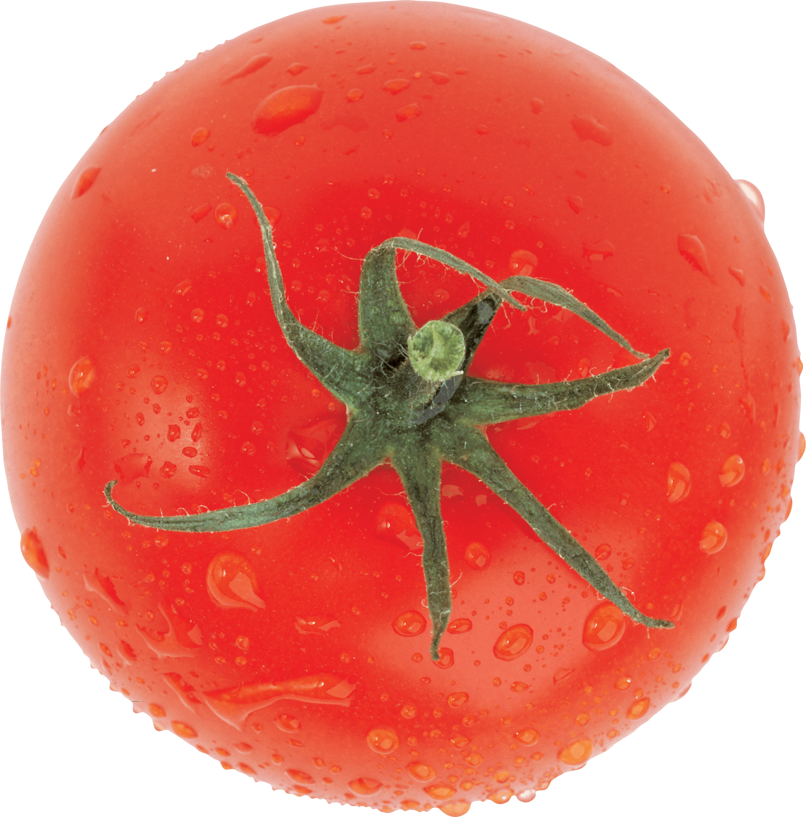 Top View Fresh Tomato