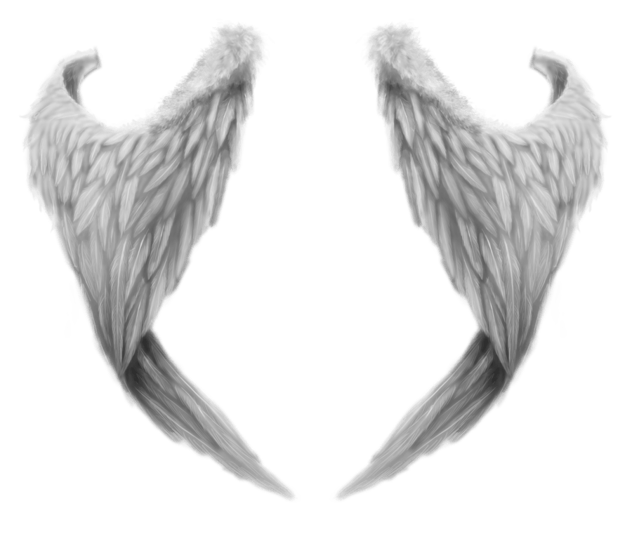 Fantasy Angel Wings