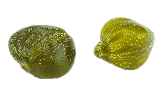Capers Close Up
