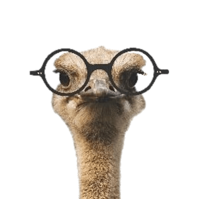 Ozzie the Ostrich Wearing Glasses