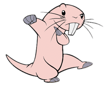 Kim Possible Rufus Fighting