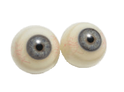 Eyeballs Grey Eyes