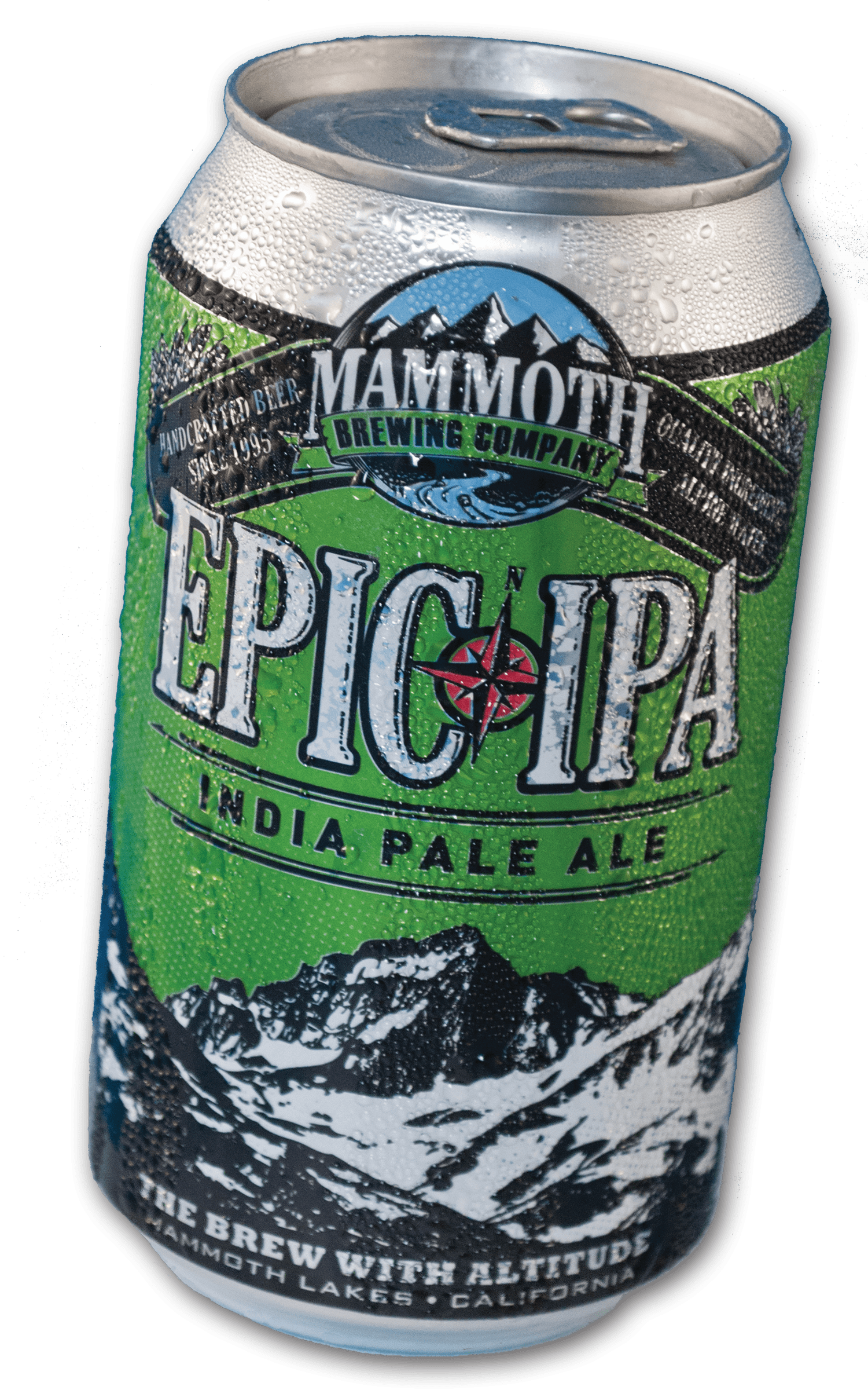 Epic IPA Can