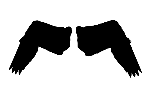 Illustration of a Pair of Black Wings