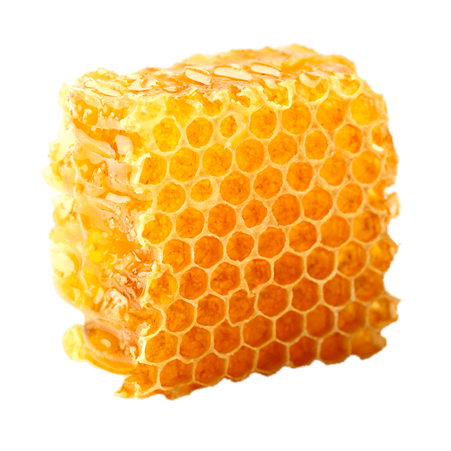 Honeycomb
